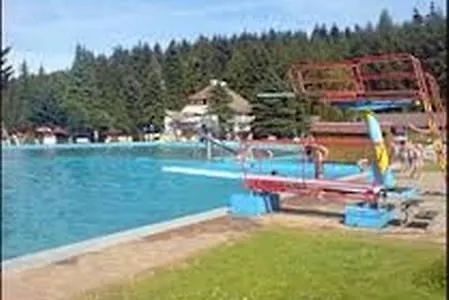 Am Wasserrad Apartment Ruhla